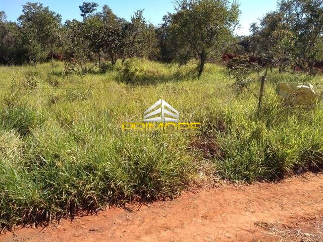 Terreno para Venda em Martinho Campos - 4