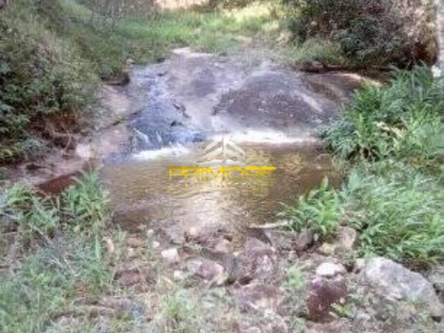 #2156 - Fazenda para Venda em Nova União - MG