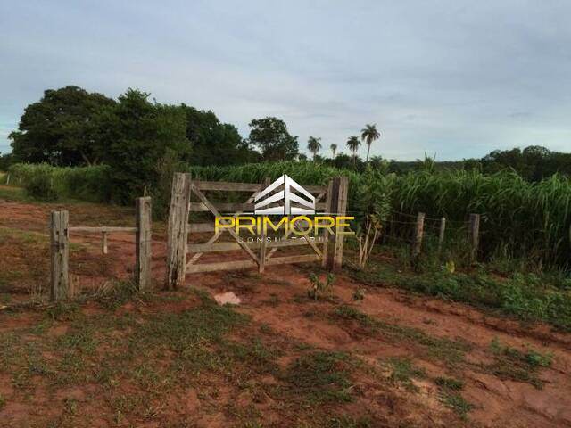 #PRI347 - Fazenda para Venda em Brasília de Minas - MG - 1
