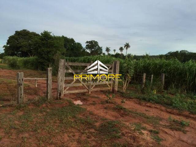 #PRI347 - Fazenda para Venda em Brasília de Minas - MG