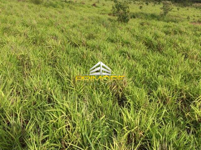 #PRI347 - Fazenda para Venda em Brasília de Minas - MG