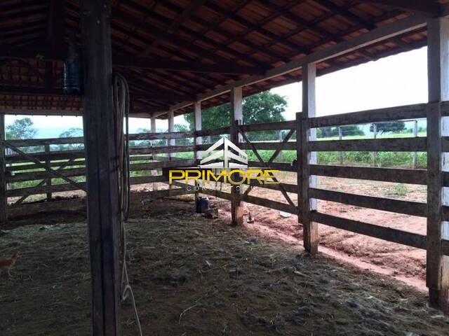 #PRI347 - Fazenda para Venda em Brasília de Minas - MG