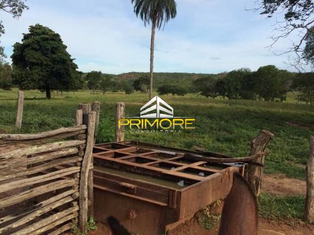 Fazenda para Venda em Brasília de Minas - 4